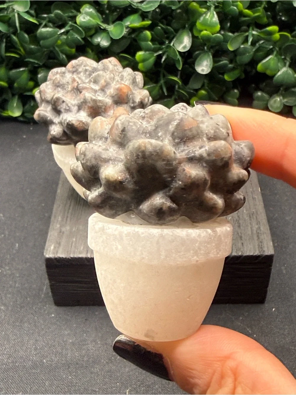 N/A adorable yooperlite